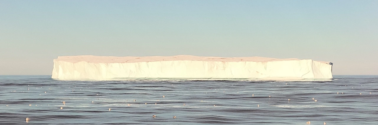 Iceberg